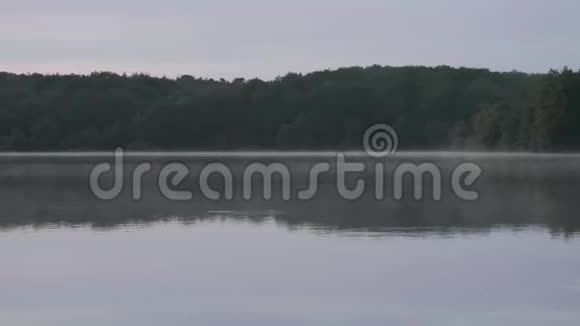 黄昏时分红日在湖面上映出长长的平底锅鱼上升树林在湖后视频的预览图