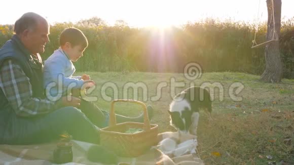 家庭关系与祖父和狗在户外野餐的秋天男孩休闲视频的预览图