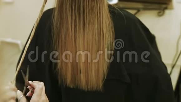 熟练的理发师梳理和切割客户视频的预览图