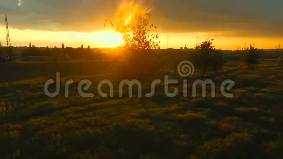 大草地上的日落视频的预览图