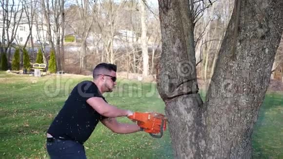 一个工人用电锯在一棵大树枝下危险地砍树视频的预览图