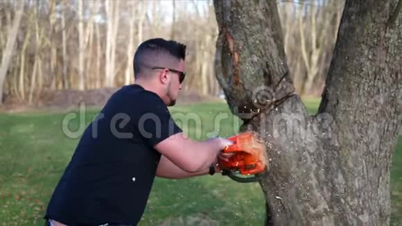 一个工人用电锯在一棵大树枝下危险地砍树视频的预览图