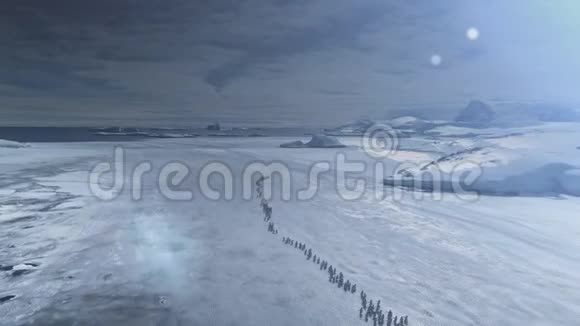 企鹅在日落时迁徙南极空中射击视频的预览图