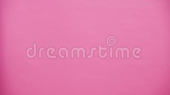 一对年轻情侣出现在粉红色的背景上再现了野兔的马一只粉红色的兔子的耳朵视频的预览图