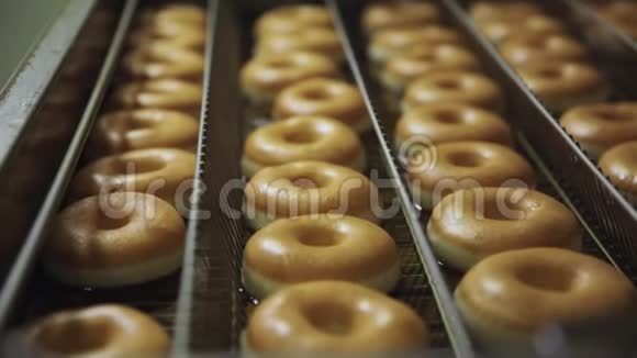 油炸甜甜圈特写场景面包店的工厂里烤着甜甜圈视频的预览图