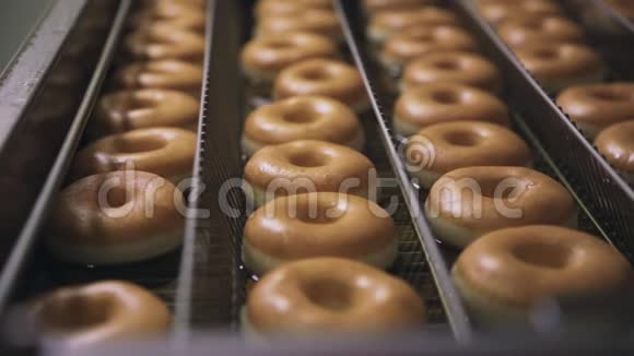 油炸甜甜圈特写场景面包店的工厂里烤着甜甜圈视频的预览图