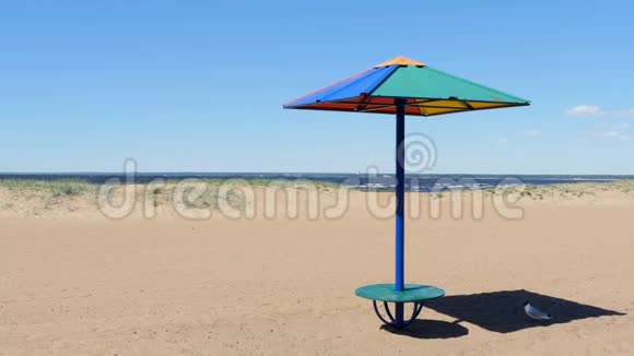空滩和太阳伞淡季视频的预览图