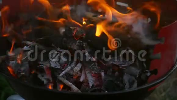 点燃后院木炭烧烤架视频的预览图