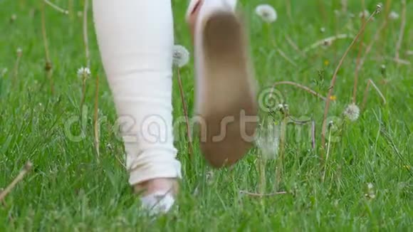 女人的双腿在绿色的田野上奔跑蒲公英的种子小花飞走了视频的预览图
