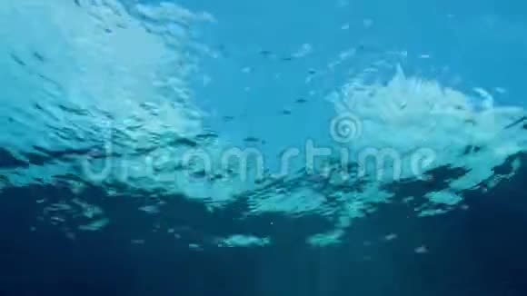 水下海景与自然光线视频的预览图
