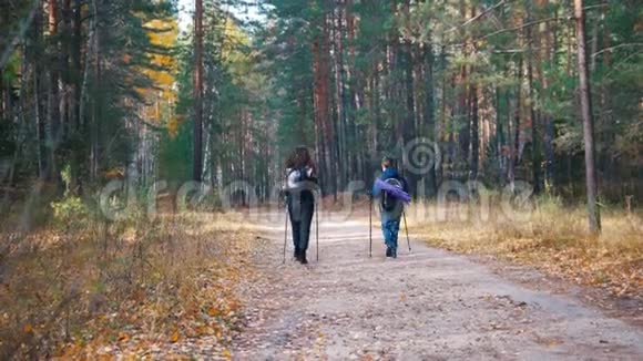 一个年轻的女人和一个男孩在斯堪的纳维亚漫步在森林里背面视频的预览图