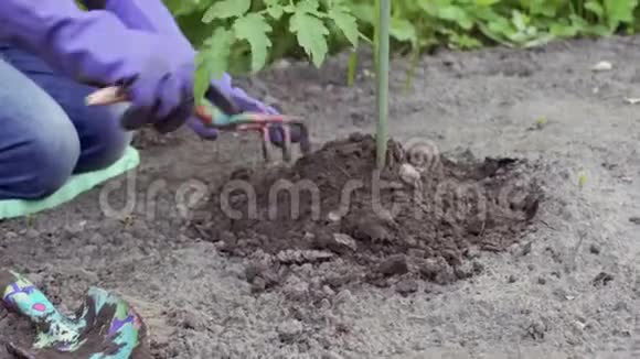 双手用园艺工具松开地面视频的预览图