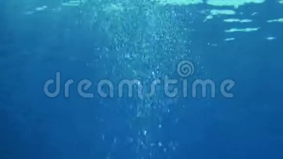 水下海景与自然光线视频的预览图