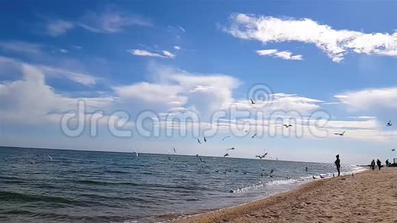 人们在海边海鸥飞过海滩海鸥缓慢地飞过海滩视频的预览图