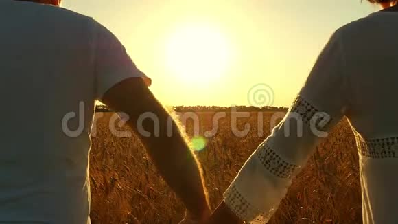这对夫妇牵着手慢悠悠地沿着金色的麦田在美丽的夕阳上奔跑视频的预览图