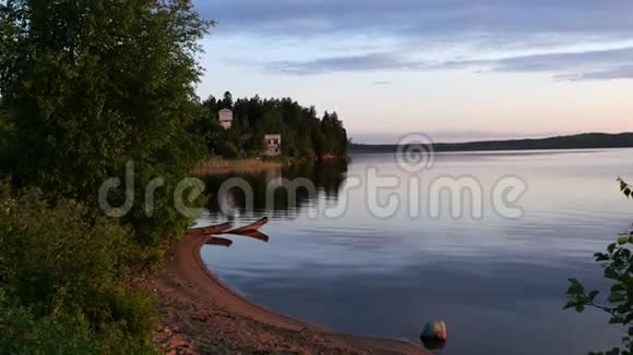 宁静的夏日河畔傍晚的木本海岸视频的预览图