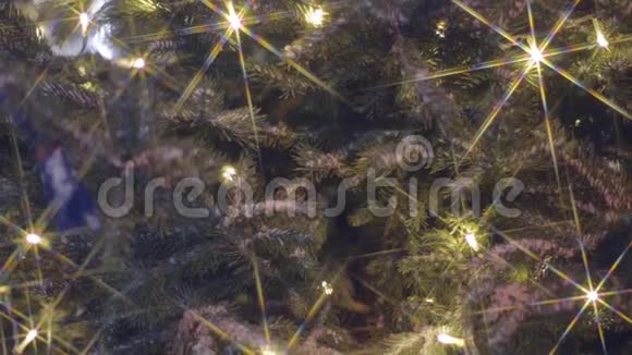 冬城装饰的杉树夜深人静视频的预览图