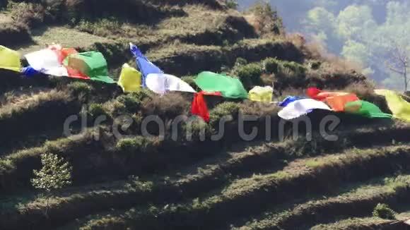 佛教多彩旗农业尼泊尔大地视频的预览图
