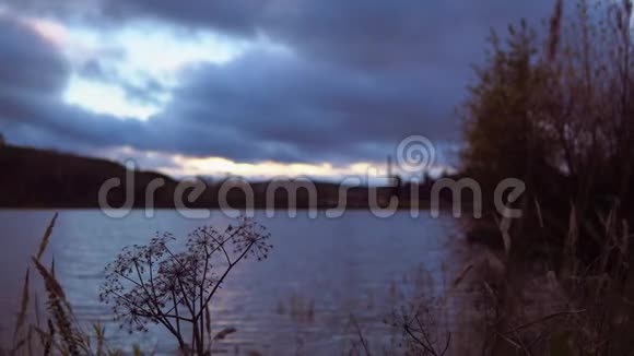 日落时云层中的干燥伞形植物视频的预览图