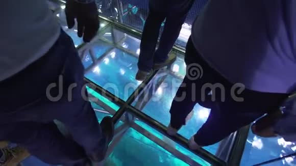 人们站在玻璃地板上在迪拜购物中心的水族馆里看着脚下的鱼视频的预览图