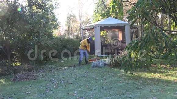 在寒冷的秋晨4K时院子里的看守人穿着黄色毛衣耙落叶视频的预览图