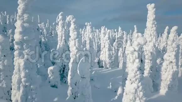 空中俯瞰寒冷的冬天有很多雪和蓝天芬兰的冬季景观视频的预览图
