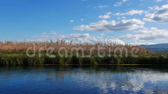 地中海河流在秋天16视频的预览图