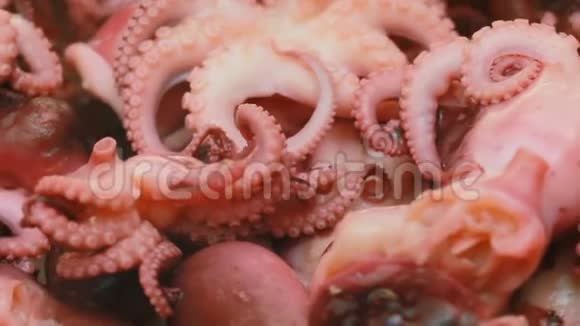 在盘子里腌制的章鱼很多章鱼在白色背景上长度35厘米视频的预览图