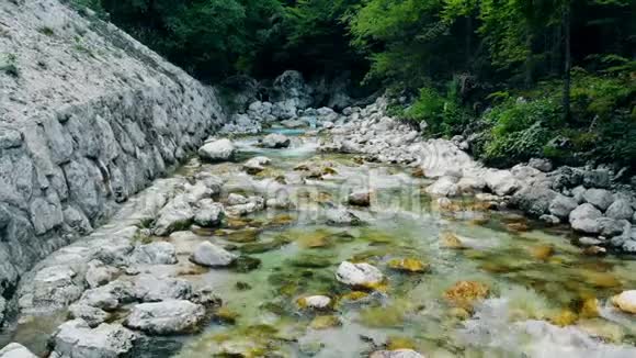 一条小河顺着绿树环绕的岩石流过视频的预览图
