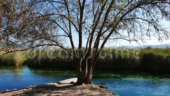 地中海河流在秋天13视频的预览图
