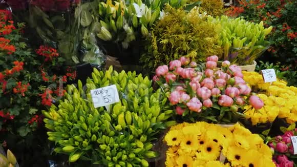 在阿姆斯特丹著名的花卉市场上的一个伟大的着色提供花束和价格视频的预览图