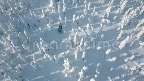 空中俯瞰寒冷的冬天有很多雪和蓝天芬兰的冬季景观视频的预览图