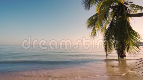 日出时美丽的异国海滩景观海上热带假日视频的预览图