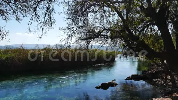 地中海河流在秋天14视频的预览图