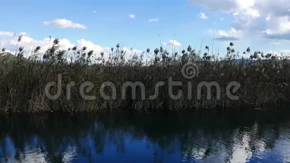 地中海河流在秋天12视频的预览图