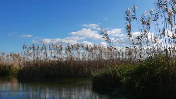 地中海河流在秋天10视频的预览图
