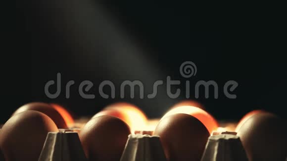 鸡蛋暗背景光视频的预览图