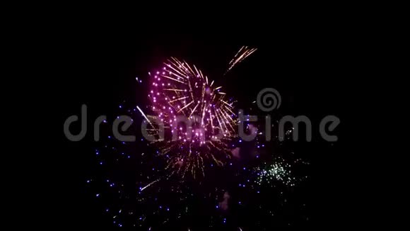 庆祝演出夜空背景下的烟花红色和紫色闪烁着美丽的火焰视频的预览图