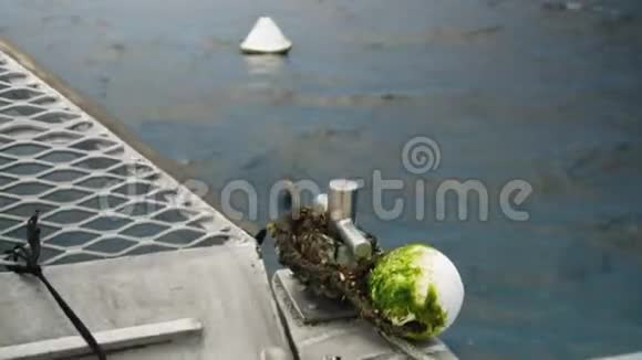 布满藻类的船绳视频的预览图