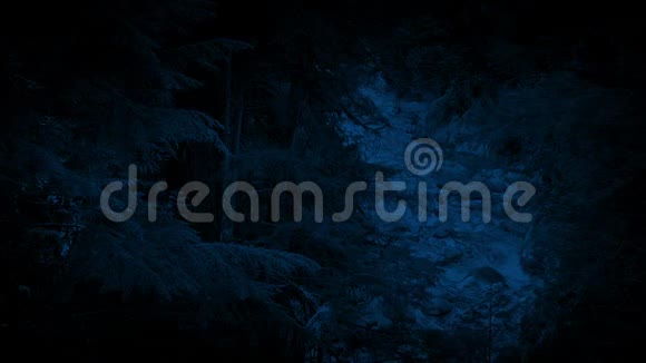 夜间森林河高角镜头视频的预览图