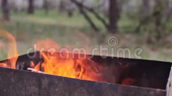 在森林里用火冒三丈视频的预览图