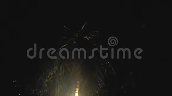 热带亚洲风的夜间热带雨视频的预览图