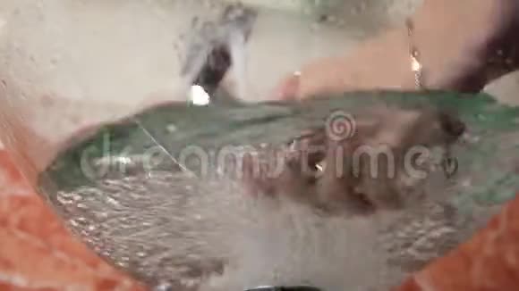 一个女孩在不寻常的透明水槽里洗手视频的预览图