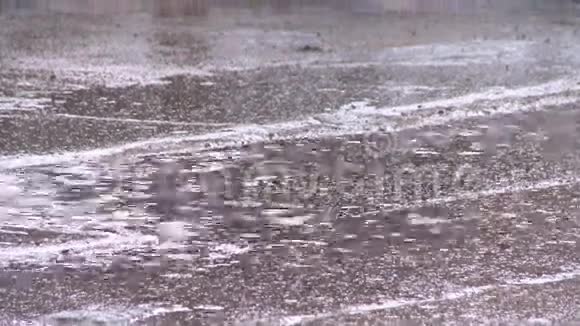 雨滴在潮湿的沥青上视频的预览图