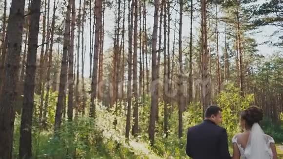 新娘和新郎走在松林里手牵着手在阳光下看着对方一起快乐婚礼视频的预览图