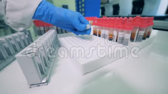 实验室工作人员用血液挑选管子并将它们放在实验室的专用架子上视频的预览图