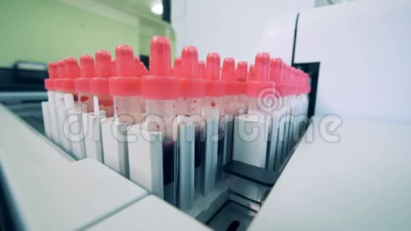 医疗机器用血液检查管子关闭血液样本在现代实验室机器上的一条特殊线路上移动视频的预览图