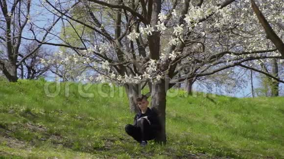 少年坐在树下写诗视频的预览图