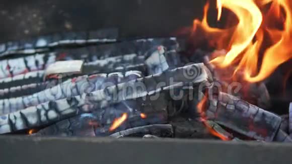 火在烤架里燃烧木头已经变黑了视频的预览图