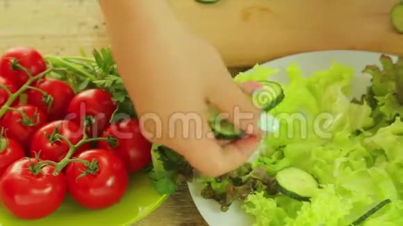 雌性手把黄瓜片放在一个盘子里盘子里放着绿色的生菜叶视频的预览图